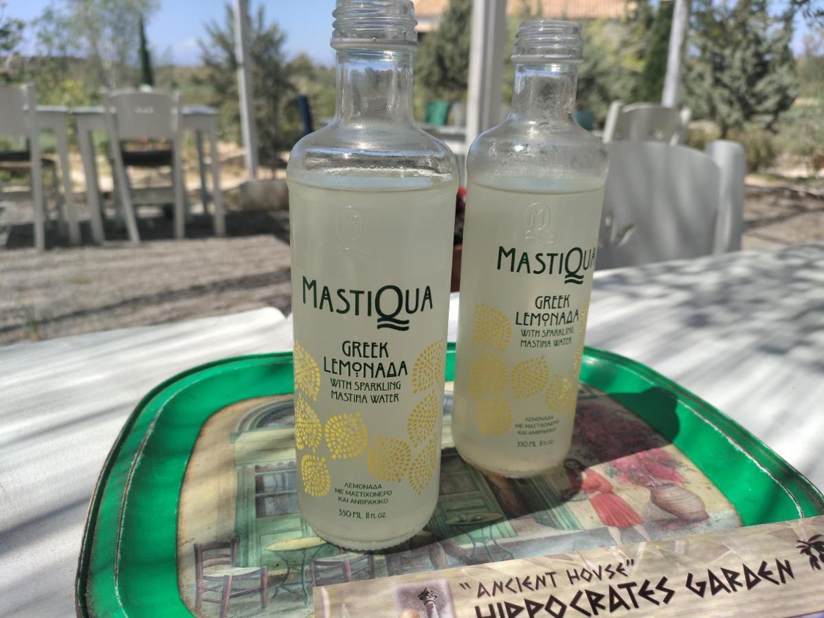 Mavros Gatos Apartment