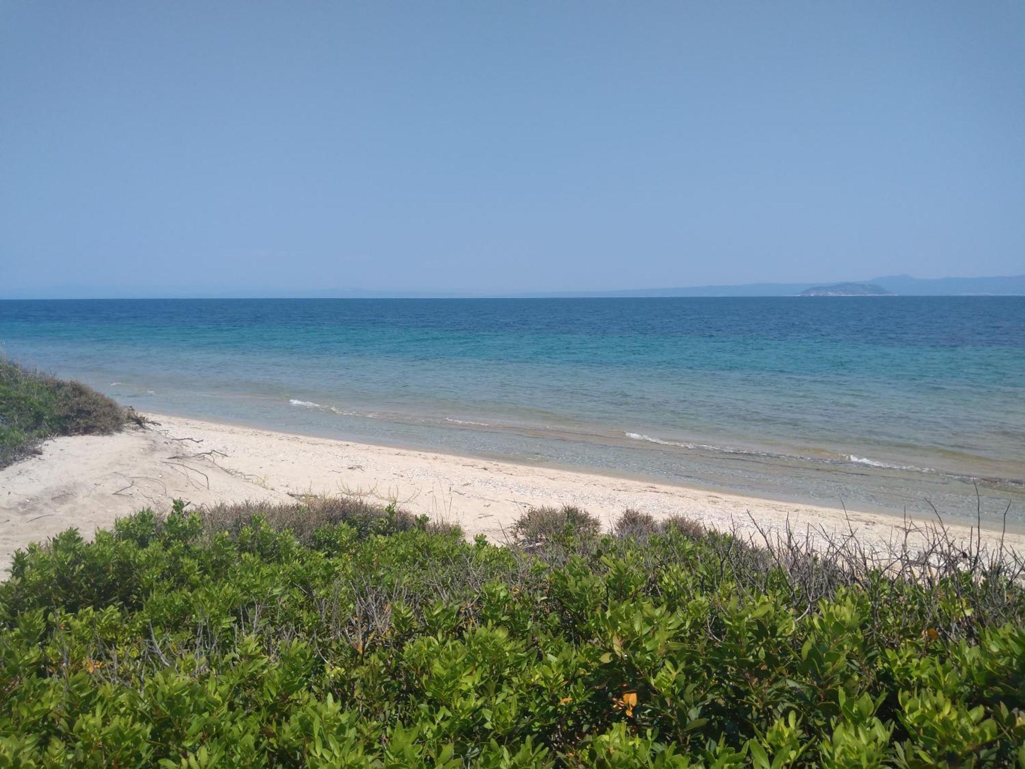 Mavros Gatos